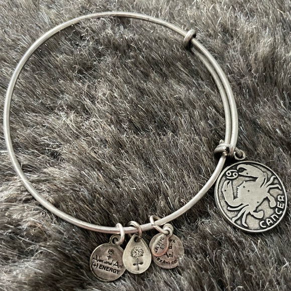 Alex and Ani Jewelry - Alex and Ani Cancer ♋️